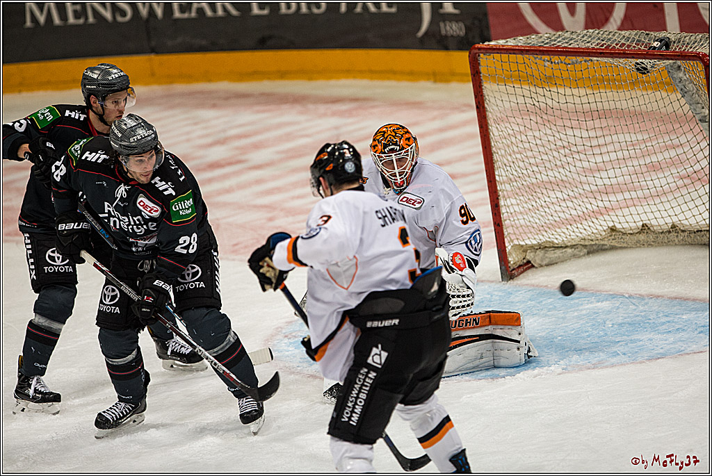 DEL, Koelner Haie - Grizzlys Wolfsburg, 21.02.2017